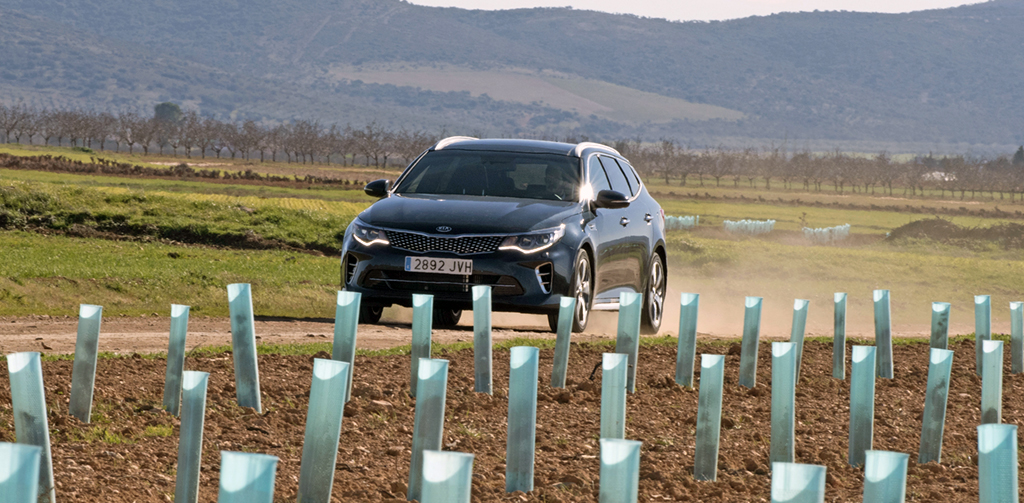 kia optima Kia
