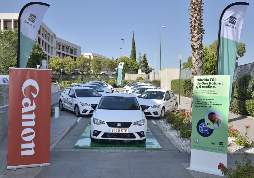Seat Ibiza TGI