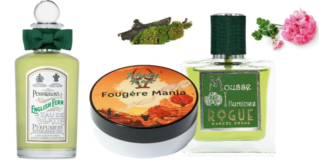 Fougère: el limpio aroma herbal que reina en la perfumería