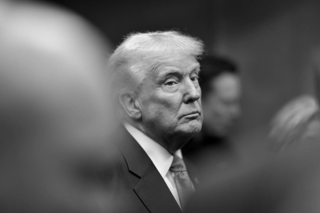 Donald Trump 8